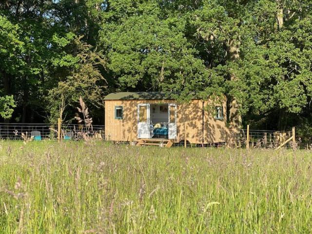 Coachroad Shepherds Huts Petworth Esterno foto