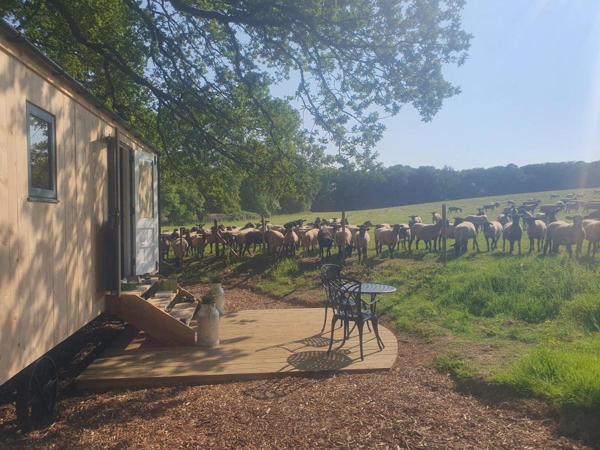 Coachroad Shepherds Huts Petworth Esterno foto